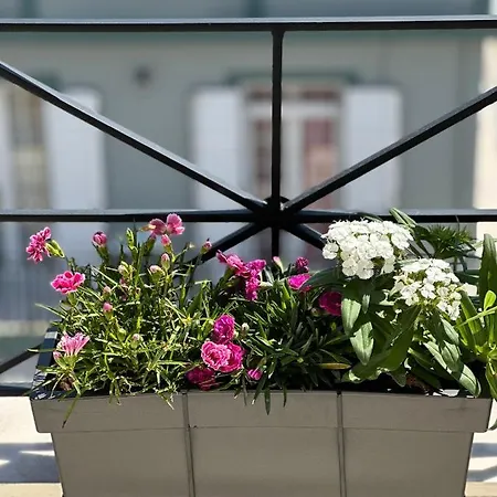 Апартаменты Filippos Loft