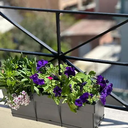 Filippos Loft * Аргостолион